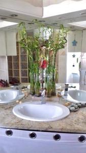 ボルゴにあるMaison du bonheurのバスルームカウンター(花瓶入りの洗面台2つ付)