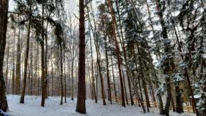Obiekt Oleandria Domek z kominkiem zimą