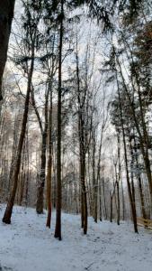 Obiekt Oleandria Domek z kominkiem zimą