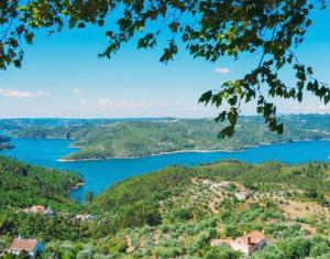 vistas al lago desde un árbol en A Casa da Lua, en Tomar