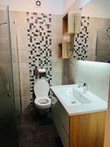 a bathroom with a toilet and a sink and a shower at TOP PROPERTIES AND HOME in Voluntari