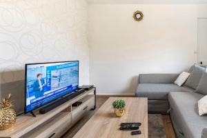 a living room with a tv and a couch at FERY HOME 76 - Au Paradis Caché de Rouen in Notre-Dame-de-Bondeville