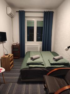 sypialnia z łóżkiem i oknem z niebieskimi zasłonami w obiekcie Beogradski sajam san - Belgrade Fair sleep w Belgradzie