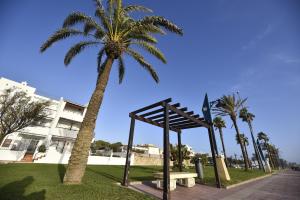 a palm tree and a bench in front of a building at Apartamento Playa La Barrosa in Chiclana de la Frontera