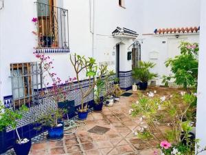 a courtyard of a house with potted plants at Small village house with beautiful sea views in Torrox