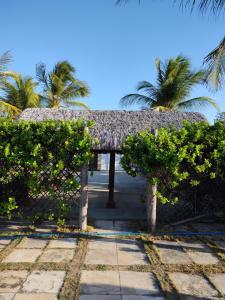 a resort with a thatched roof and palm trees at A Toca do Bem-Te-Vi in Águas Belas