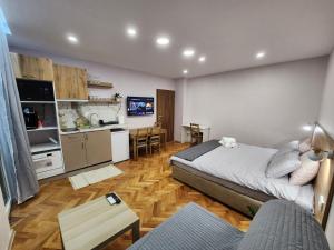 1 dormitorio con 1 cama, cocina y sala de estar en Malavi A5 top center apartment Ruse en Ruse