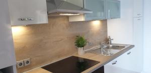 Kuchyň nebo kuchyňský kout v ubytování Apartments Sole + 37 fotografií