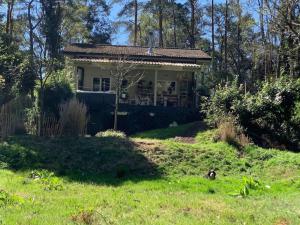 comfortable chalet in a unique location in forest في Essen: منزل به كلب يقف في العشب