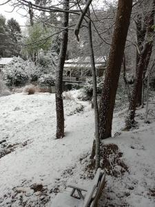 comfortable chalet in a unique location in forest خلال فصل الشتاء