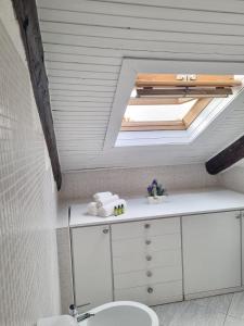 a bathroom with a white sink and a skylight at Stupenda mansarda in centro a Torino in Turin
