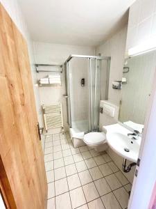 een badkamer met een douche, een toilet en een wastafel bij Apartmány Almberg in Philippsreut