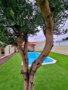 a tree in front of a swimming pool at VILLAS com piscina in Vila Nova de Gaia