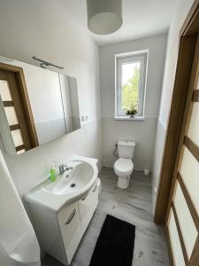 La salle de bains blanche est pourvue d'un lavabo et de toilettes. dans l'établissement Apartamenty Mazal Dukla, à Dukla