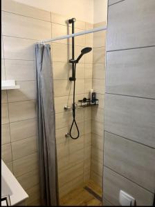 W łazience znajduje się prysznic z zasłoną prysznicową. w obiekcie Unique studios near Tivoli w Lublanie