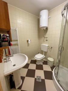 a bathroom with a sink and a toilet and a shower at Apartment Love in Vlasic