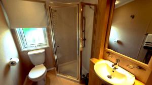 uma casa de banho com um chuveiro, um WC e um lavatório. em 19 Park Views Just outside Penrith for Holidays and Short Breaks please no commercial vans thankyou em High Hesket