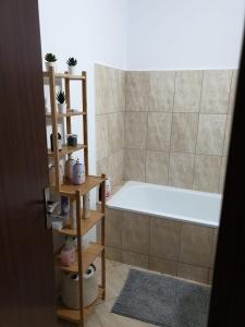 a bathroom with a bath tub and a shower with a bath mat at Apartament La Vivi in Lupeni