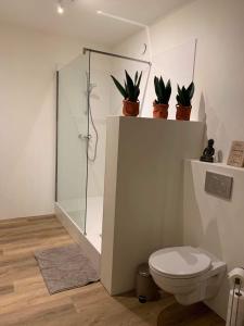 Lodge Vent d’Ouest في جيمبلو: حمام مع دش ومرحاض والنباتات الفخارية