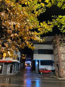 a tree with yellow leaves on a street at night at Hotel In Time in Prizren