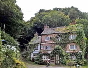 uma casa velha com hera a crescer nela em Woodbine Cottage-PART OF ALTON COTTAGES em Alton