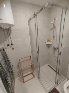 una doccia con porta in vetro in bagno di Apartmani Šišarka 1 a Kopaonik
