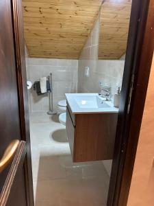 a bathroom with a sink and a toilet at Sangro Chalet By Dimorra in Castel di Sangro