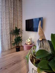 uma planta com um chapéu em cima de uma mesa em Apartament Chopina em Lomianki