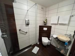 a bathroom with a toilet and a sink and a shower at Health and Spa by Doro im Hotel am Schwanenweiher in Bad Bertrich