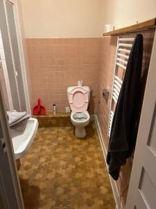 a bathroom with a pink toilet and a sink at T2 meuble in Oyonnax