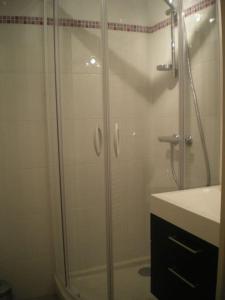y baño con ducha y lavamanos. en Agréable Studio à 400 m du centre ville de Luz en Luz-Saint-Sauveur