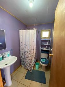 a bathroom with a sink and a toilet and a shower at Cabañas Rukapillán Región de la Araucanía in Villarrica