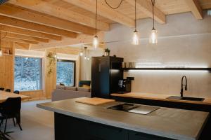 a kitchen with a large island in a room at VagusBouda / Hogo& in Loučná nad Desnou