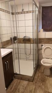 a bathroom with a shower and a toilet at Apartment /flat in Schwebheim