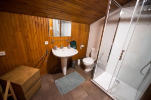 a bathroom with a toilet and a sink and a shower at La Ferme des 3 lacs in Xonrupt-Longemer +25 photos