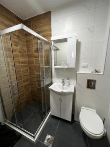 ein Badezimmer mit Dusche, Toilette und Waschbecken in der Unterkunft Flora Lux and Spa Zlatibor in Zlatibor + 18 Fotos