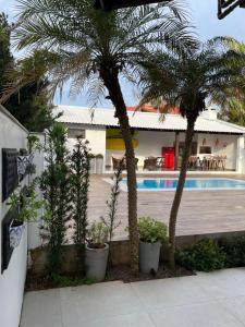 un groupe de palmiers à côté d'une piscine dans l'établissement Casa com piscina Praia dos Molhes, à Torres