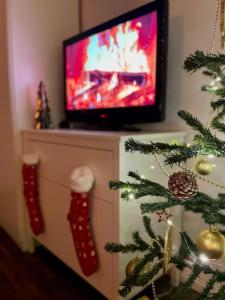 - un salon avec un arbre de Noël et une télévision dans l'établissement Studio27 - Apartment with balcony at the Buda castle, à Budapest