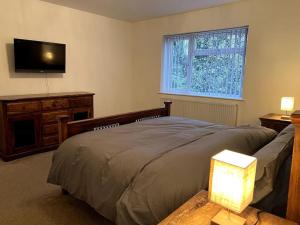 um quarto com uma cama e uma televisão de ecrã plano em Home in Barrow-Upon-Soar em Barrow upon Soar