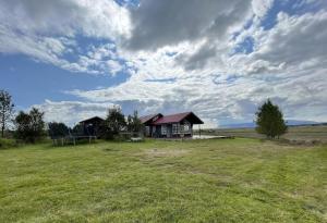 a house in the middle of a grass field at Myrarkot Country Home in Selfoss