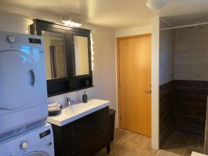 a bathroom with a sink and a washing machine at Myrarkot Country Home in Selfoss