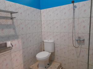 a bathroom with a toilet and a shower at Tangkoko Lodge in Bitung