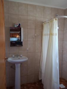 a bathroom with a sink and a shower curtain at FREEDOM Iris in Río Gallegos