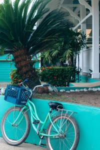 una bicicletta parcheggiata accanto a un muro blu con una palma di Gran Hotel Bahia a Bocas del Toro