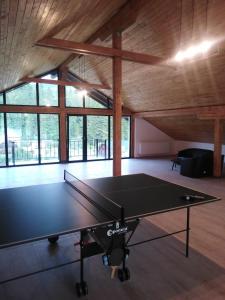 a ping pong table in a room with wooden ceilings at Hotel boutique Danifeld Inn in Voronet