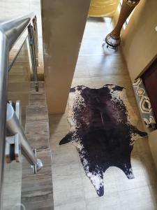 una alfombra de hoja en el suelo de una casa en Mohau Accommodation, en Elandsfontein