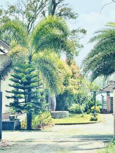 A garden outside CHERAI LAKE RESORT