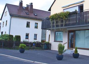 a house with two potted plants in front of a fence at Ferienwohnung Ahne in Selb