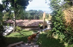 a brown dog standing in the grass next to a house at The Spice House Mirissa in Mirissa