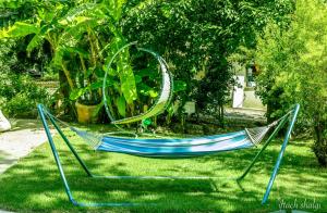 a blue hammock sitting on the grass in a yard at Nuriel Fruit & Guest House in Sheʼar Yashuv